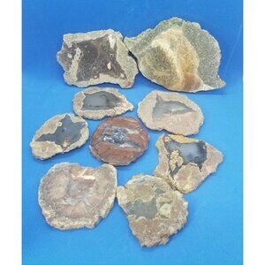 Oregon Thunder Egg Slices Unpolished Lot of 9 Pieces Various Sizes Shapes